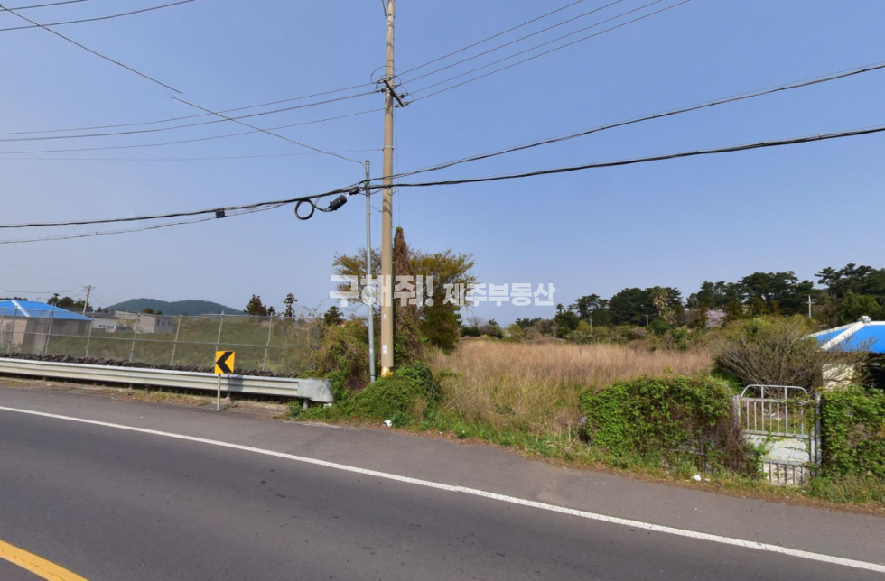 제주 제주시 애월읍 상가리 ★ 건축가능 / 더럭초등학교 인근 중산간서로 도로변 토지 매매 ★ 매매 매물번호 10909 사진 1
