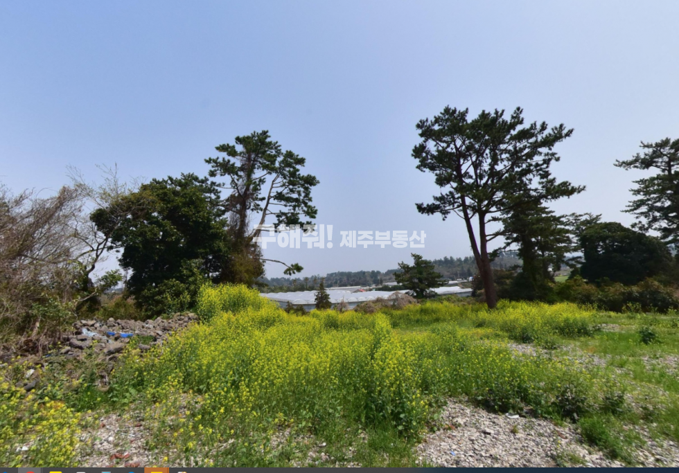 제주 제주시 애월읍 상가리 580 ★ 생산관리지역 / 애월 상가리 토지 매매 ★ 매매 매물번호 10937 사진 1