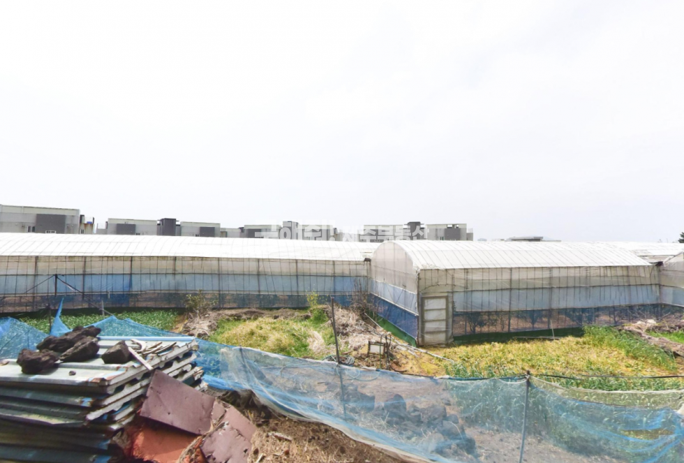 제주 제주시 삼양일동 1245 비닐하우스 있음 / 원당봉 인근 일주동로 접한 토지 매매 매매 매물번호 10977 사진 1