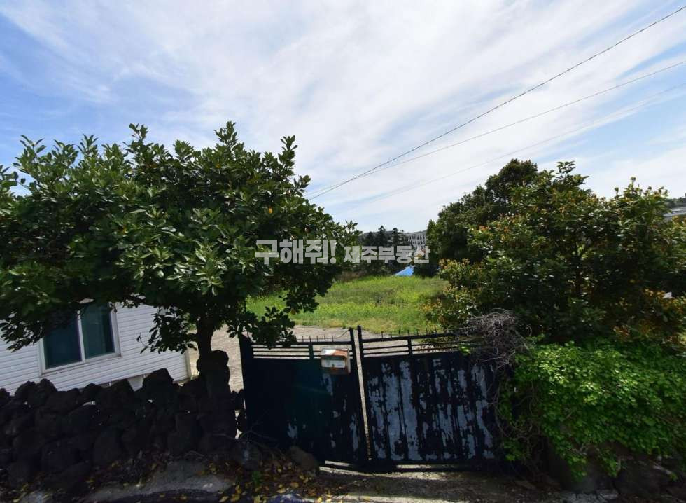 제주 서귀포시 안덕면 서광리 1886-14 영어교육도시 / 제주신화월드 인근 / 농가주택 및 토지 매매 매매 매물번호 11034 사진 1