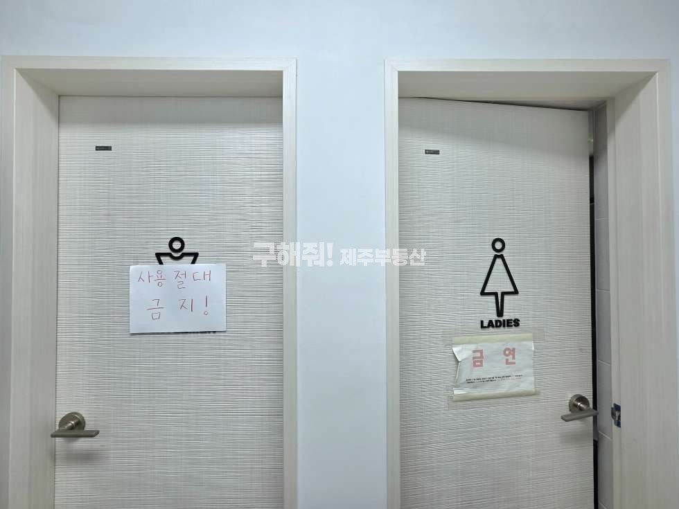 제주 제주시 도남동 ▶ 도남 청사 맞은편 메인 삼거리 대로변 무권리 월세 매물번호 11679 사진 9