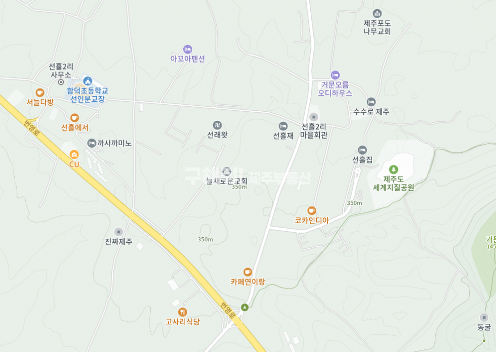 제주 제주시 조천읍 선흘리 단독주택있는, 2차선도로접 선흘리마을회관 인근 토지 매매 매물번호 10409 사진 3