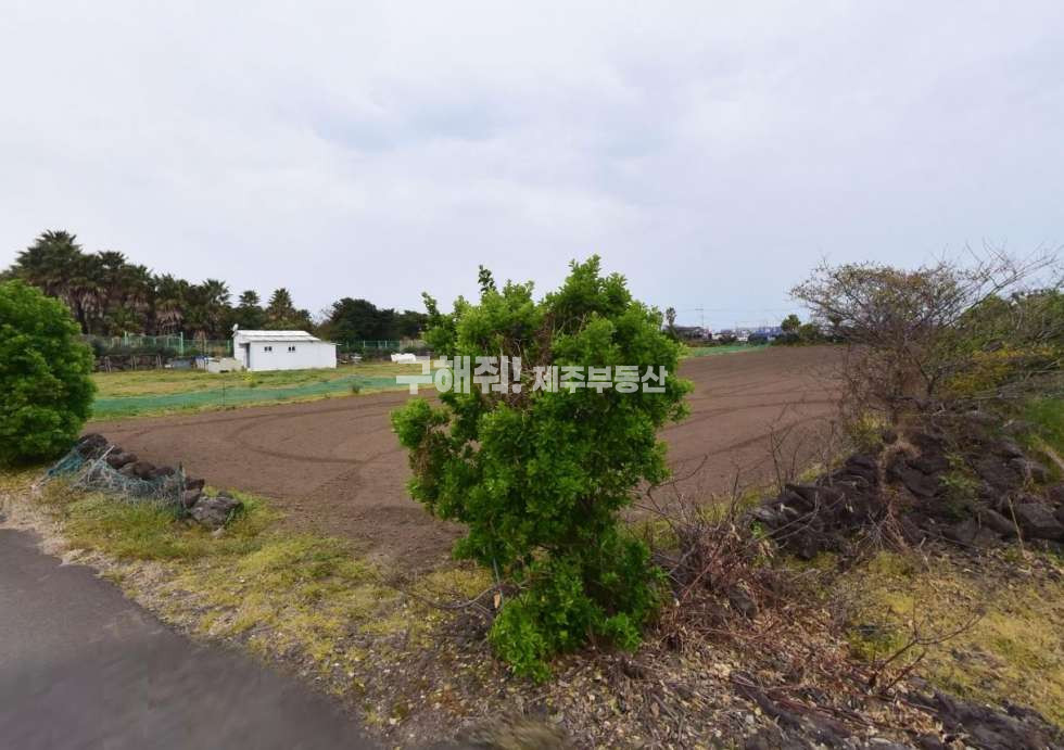 제주 제주시 도두이동 제주공항근처/토지매매/약696평/투자가치있는토지 매매 매물번호 10645 사진 2
